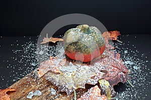 Autumnally decorated pumpkin with autumn foliage,snow and ice crystals