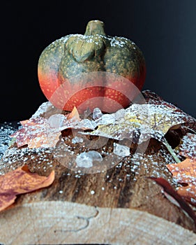 Autumnally decorated pumpkin with autumn foliage,snow and ice crystals