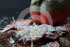 Autumnally decorated pumpkin with autumn foliage,snow and ice crystals