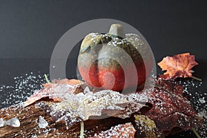 Autumnally decorated pumpkin with autumn foliage,snow and ice crystals