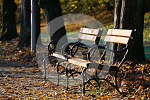 Autumnn, bench, park