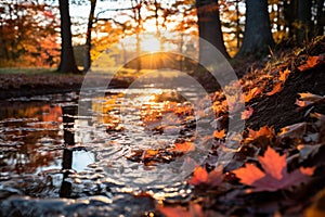 Autumns Serene Reflection: Vibrant Foliage and Dew-Covered Pond photo