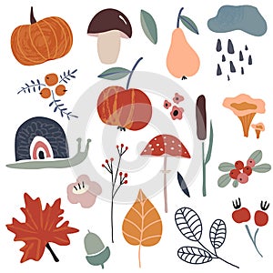 Autums vector collection of fall leaves, berries, plants, fruits, pumpkin, mushrooms photo