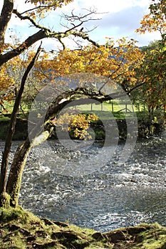 Autunm in Borrowdale, River Derwent, Cumbria