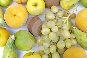 Autunm fruits isolated on white background.