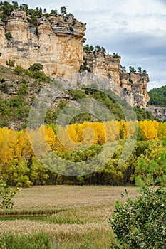 Autunm landscape with vertical rocks in Cuenca n5