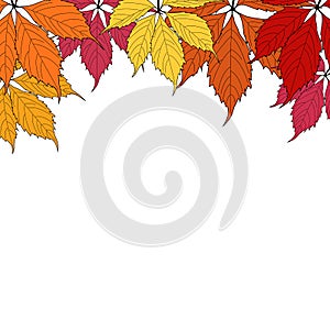 Autunm Leaves Background Vector Illustration