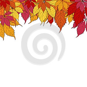 Autunm Leaves Background Vector Illustration