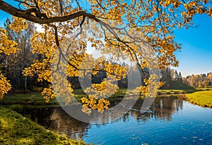 Autunm trees in the park, perfect fall scenery photo