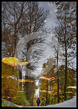 Autunno photo