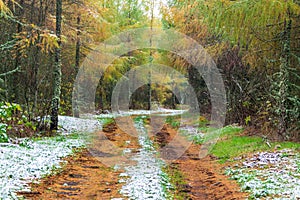 Auvergne hiking trail in France