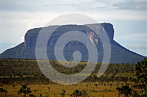 Auyantepui, Canaima N. P., Venezuela