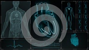 AV Node Signal or Atrioventricular Node Signal of Human Heart