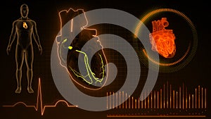 AV and SA Node Signals or Atrioventricular and Sinoartial Node Signal of Human Heart