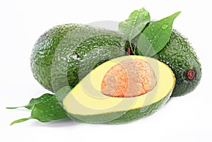 Avacado