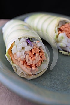 Avacado Roll Sushi