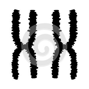 Human chromosomes icon