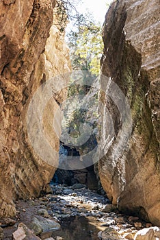 Avakas Gorge Canyon in Cyprus island