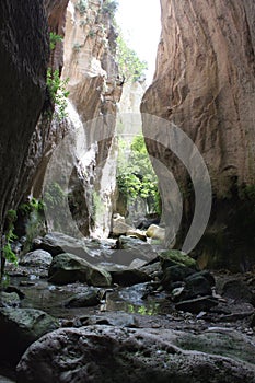 Avakas Gorge Cyprus