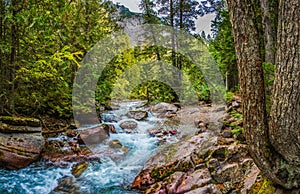 Avalanche Creek photo