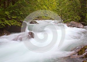 Avalanche Creek in Glacier National Park