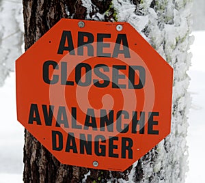 Avalanche Danger Sign Ski Safety