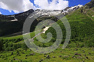 Avalanche deforest photo