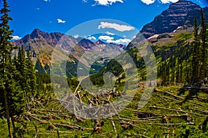 Avalanche destruction Path Next to Maroon Bells in Rocky Mountains