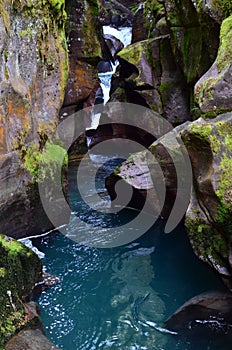 Avalanche Gorge, Glacier National Park, Montana