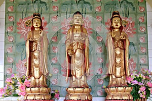 Avalokiteswara - Kuan Yin Statues