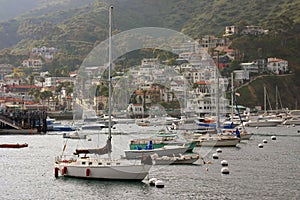 Avalon Bay with Boats in Catalina