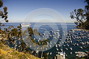 AVALON BAY AND CRUISE SHIP CATALINA ISLAND