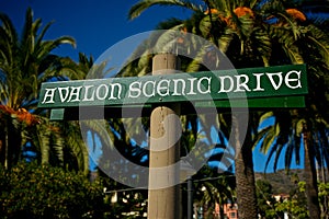 Avalon Drive Sign