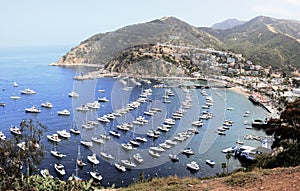 Avalon Harbor, Santa Catalina Island