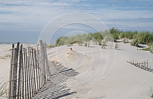 Sand Dunes Avalon, New Jersey photo