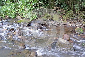 Avana stream Rarotonga Cook Islands