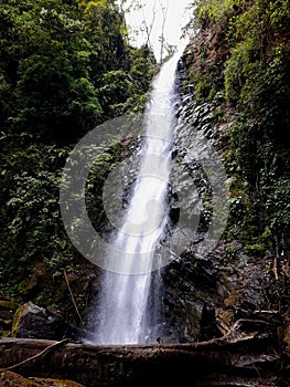 Avance waterfall. A beautiful waterfall in the rainforest photo