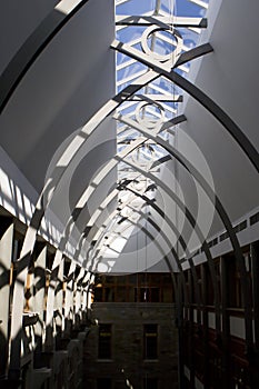 Avant Garde Ceiling Architecture