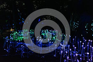 Avatar forest floor at the NightGarden at Coral gables Florida photo
