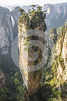 Avatar Hallelujah mountain in the Wulingyuan national park, China