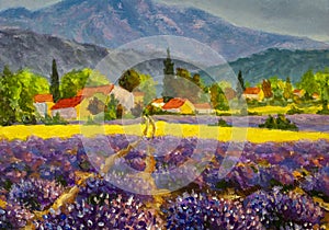 Avender landscape at summer sunset, lavender flowers are in bloom