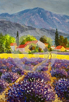 Avender landscape at summer sunset, lavender flowers are in bloom