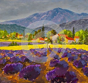 Avender landscape at summer sunset, lavender flowers are in bloom