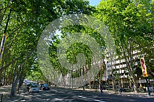 Avenida da Liberdade in Lisbon, Portugal