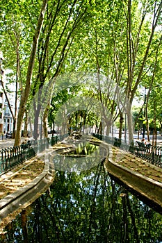 Avenida da Liberdade garden in Lisbon