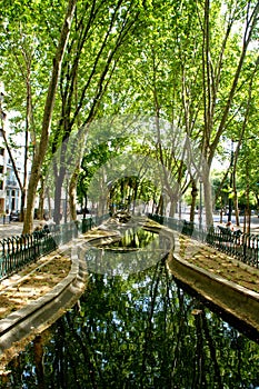 Avenida da Liberdade garden in Lisbon photo