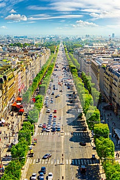 Avenue des Champs Elysees