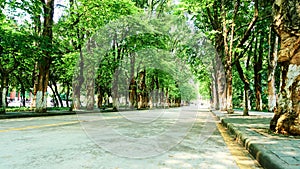 Avenue