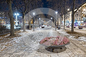 Avenue in Oslo on Karl Johans street during night in winter, with icy ground and light lamps turned on. Beautiful winter night in