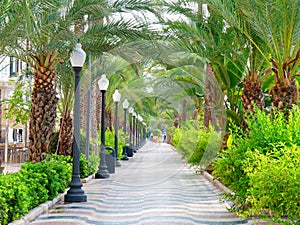 Avenue of palms in Alicante. Main promenade for tourists Explanada. Spain. photo